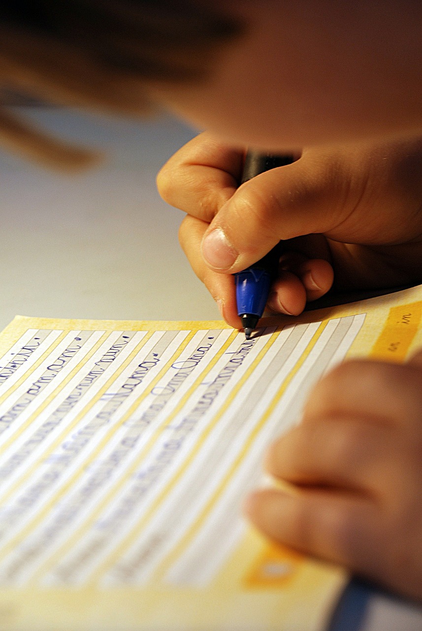 最新民辦幼兒園章程,構建優質教育生態的核心要素