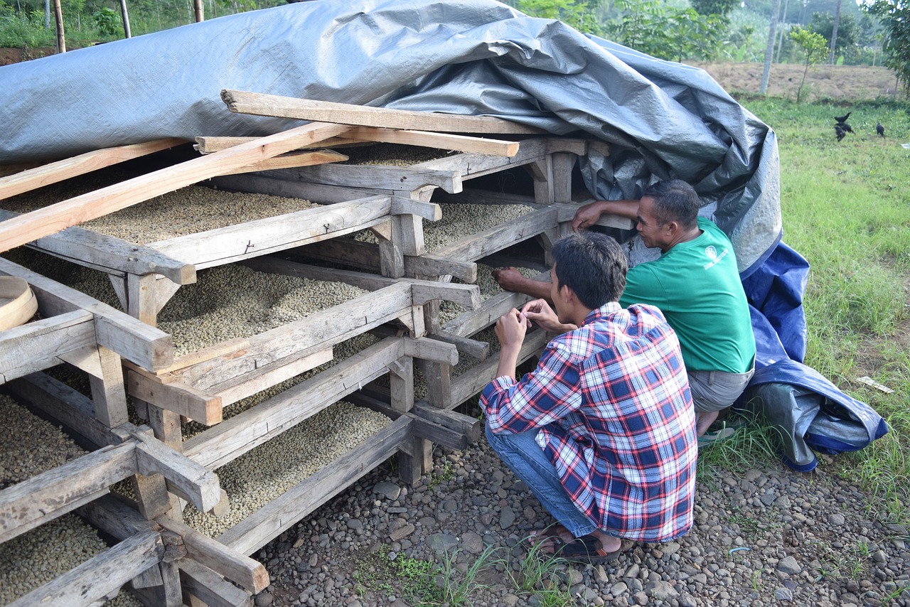 黑龍江農(nóng)墾最新動(dòng)態(tài)全面解讀