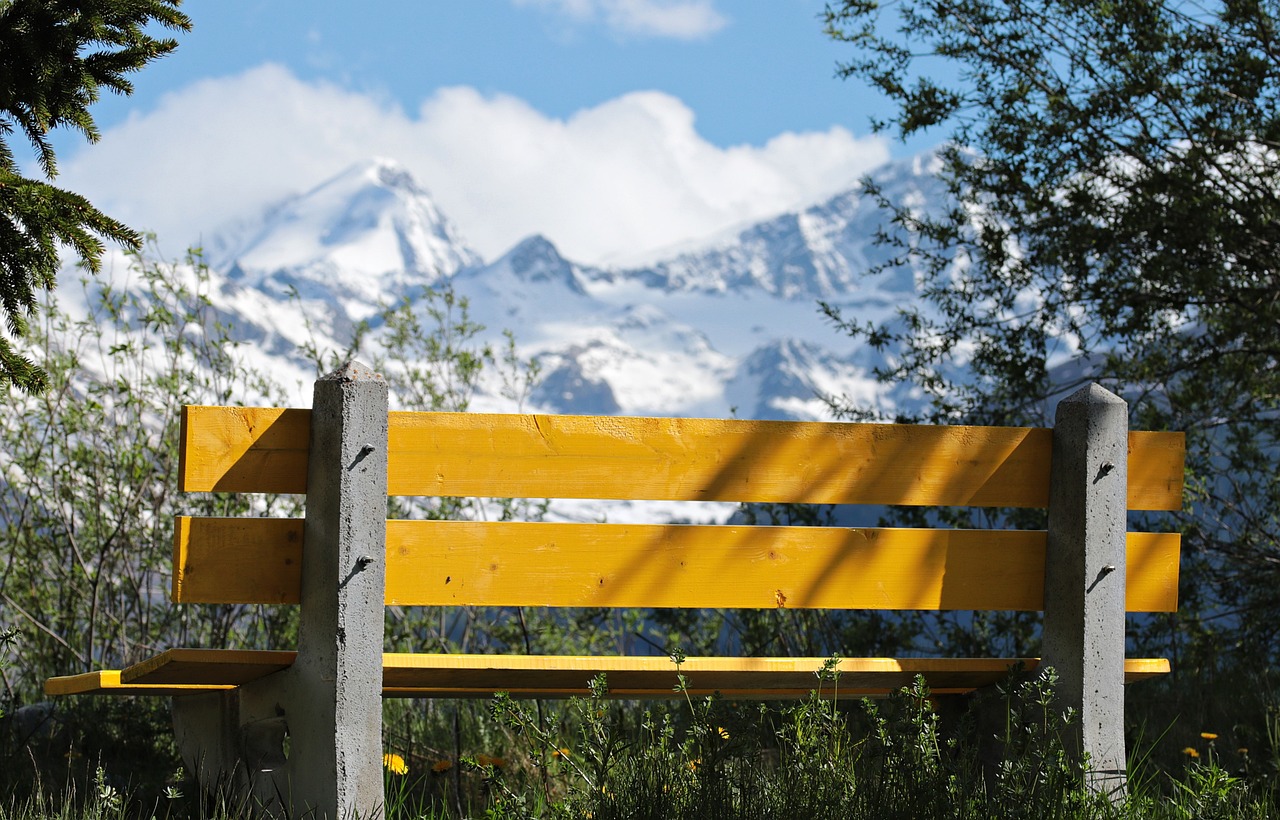 中印高鐵項(xiàng)目最新動(dòng)態(tài),合作進(jìn)展、挑戰(zhàn)與前景展望