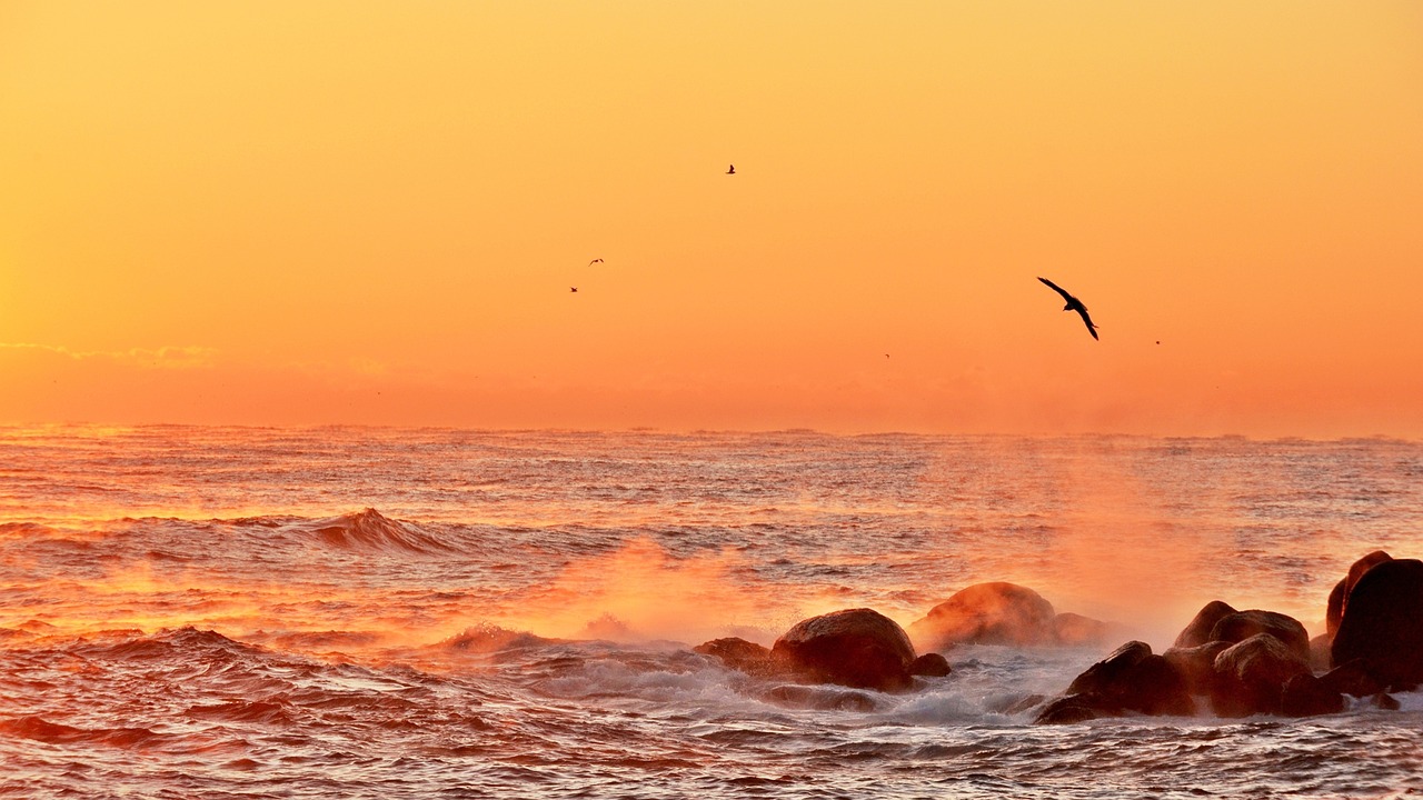 中國最新金礦探索與發(fā)現(xiàn)之旅
