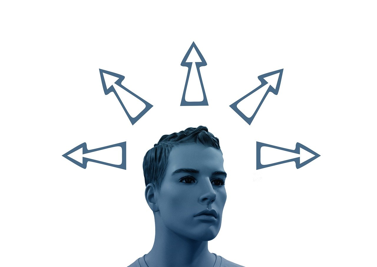 羽絨最新價格走勢,市場動態、影響因素與未來趨勢深度解析