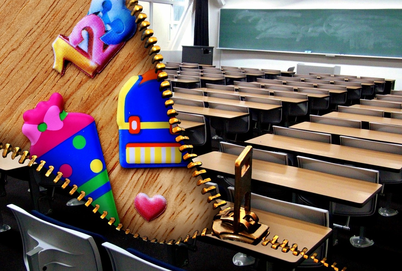 樂視公司最新動態,創新引領,邁向未來