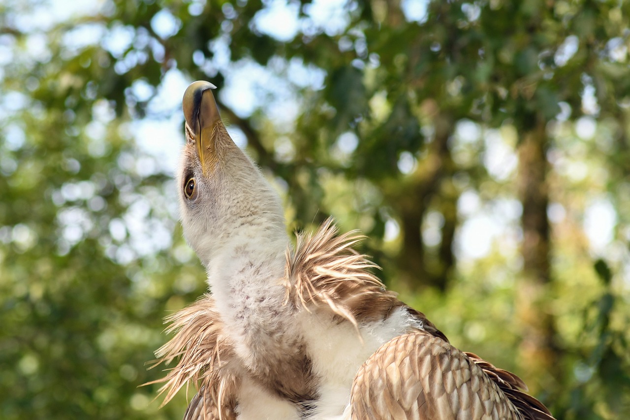 章丘最新房價動態(tài)及市場趨勢深度解析