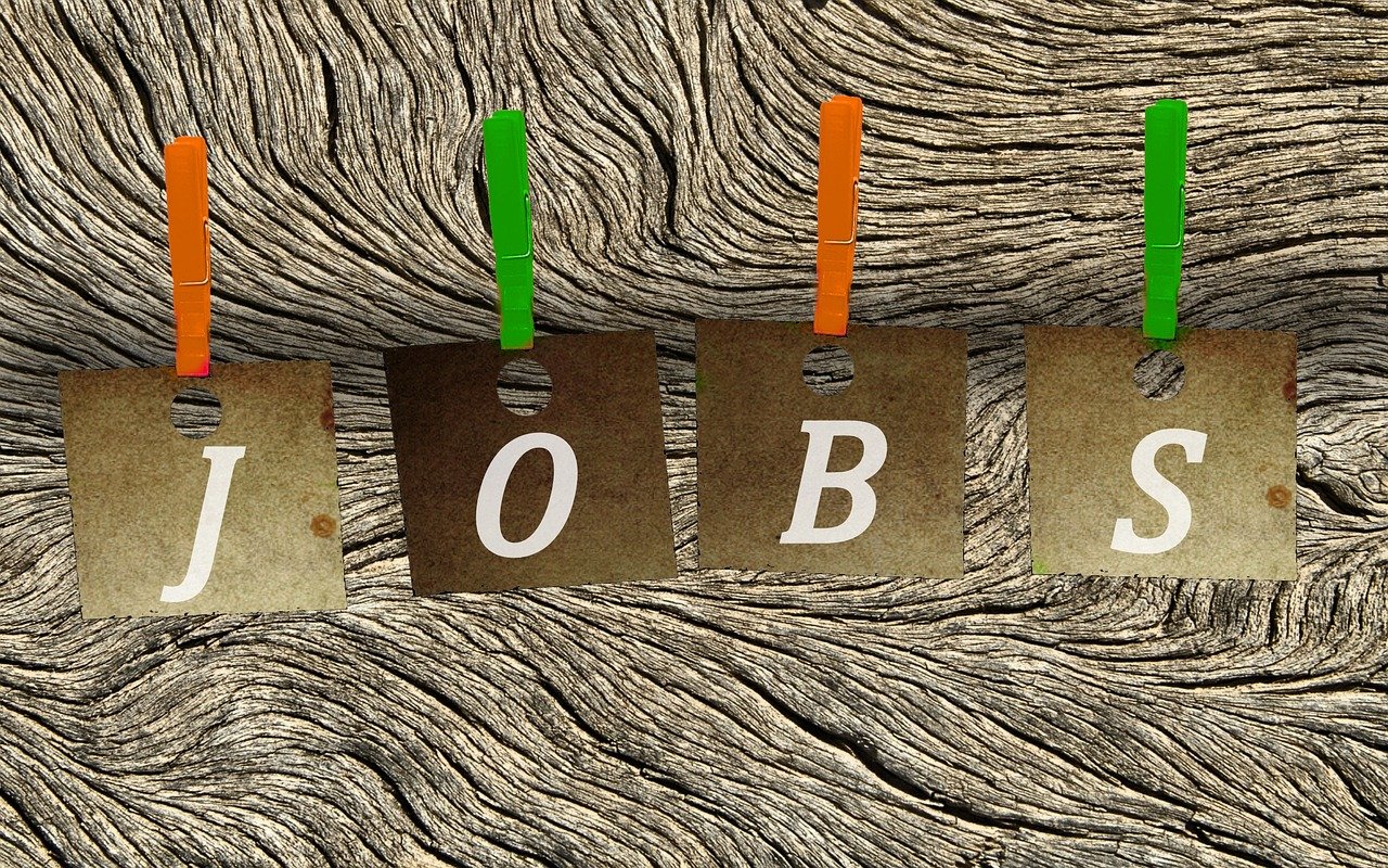 板芙最新招工信息,動態、市場分析及就業機遇探討