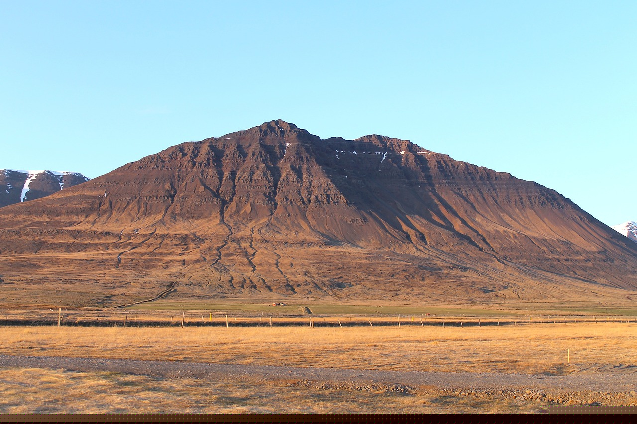 金雪炫的最新動態與成就概覽