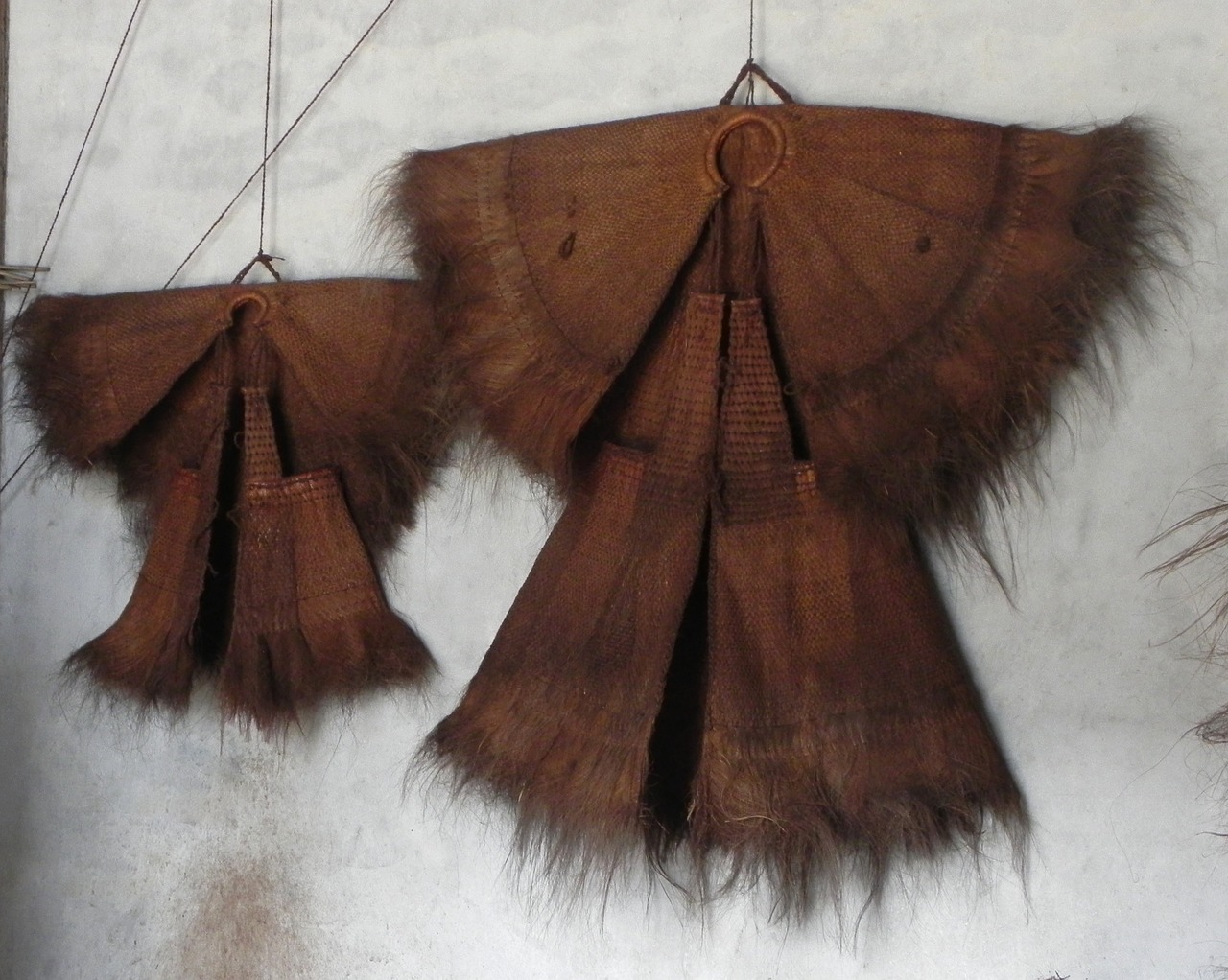 微信獵手最新動態,新功能揭秘與未來發展展望