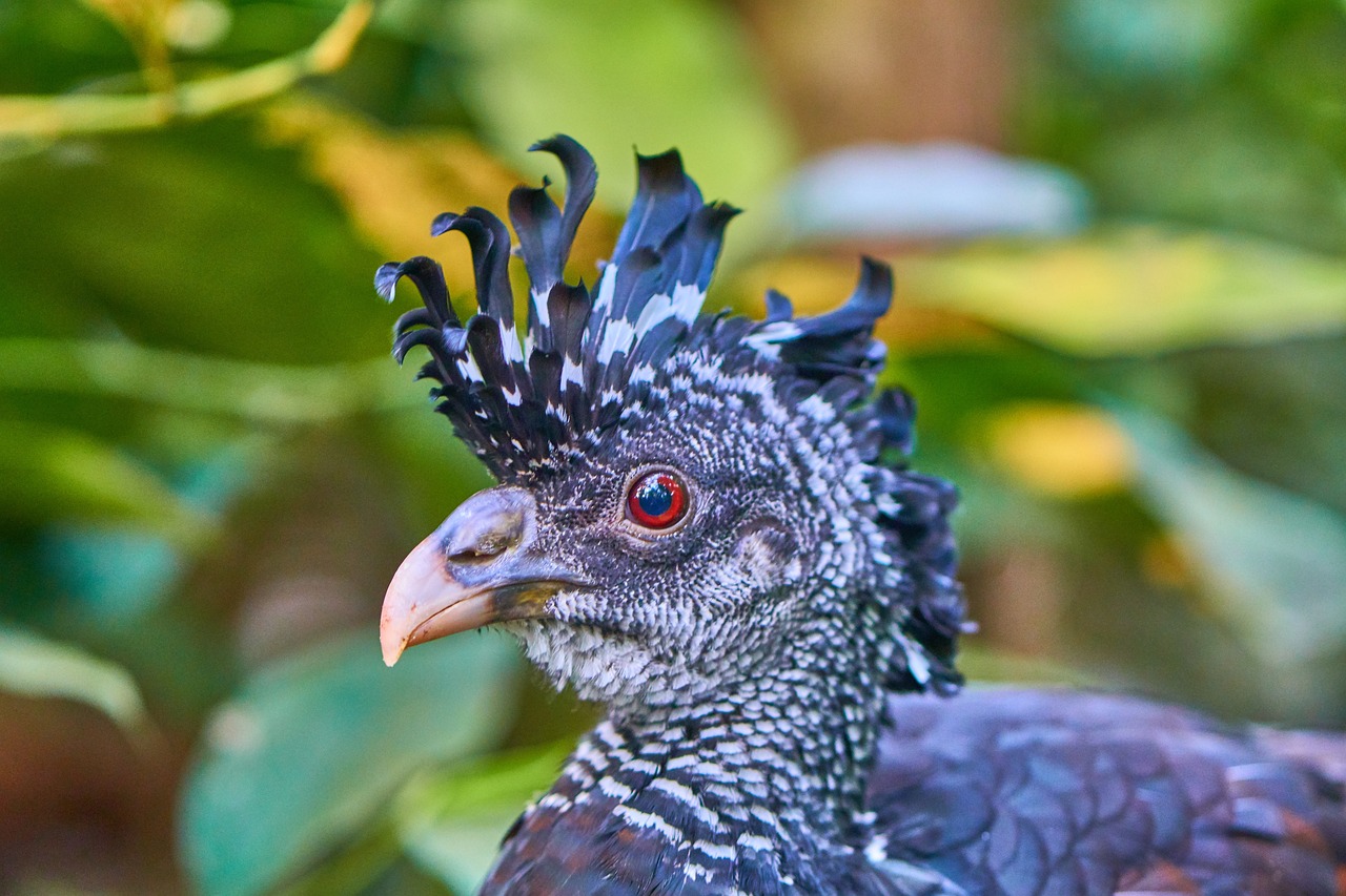 全球熱帶氣旋最新動態,影響及應對策略揭秘