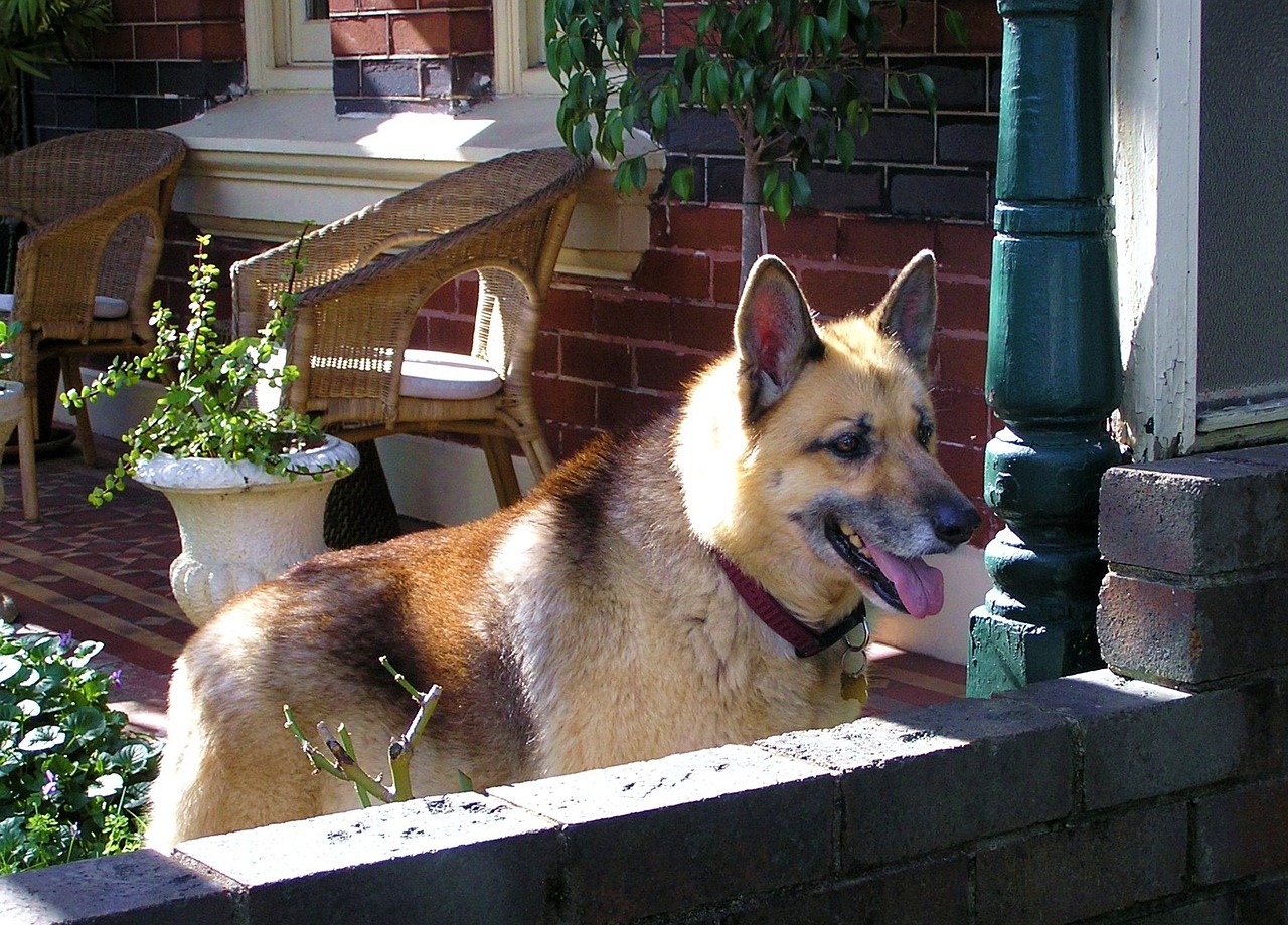 珍珠港最新動(dòng)態(tài),歷史與現(xiàn)代的交匯點(diǎn)觀察