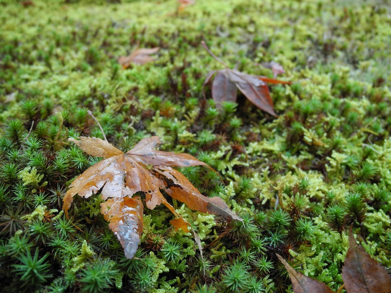 北流最新新聞深度解析,動(dòng)態(tài)更新與熱點(diǎn)聚焦