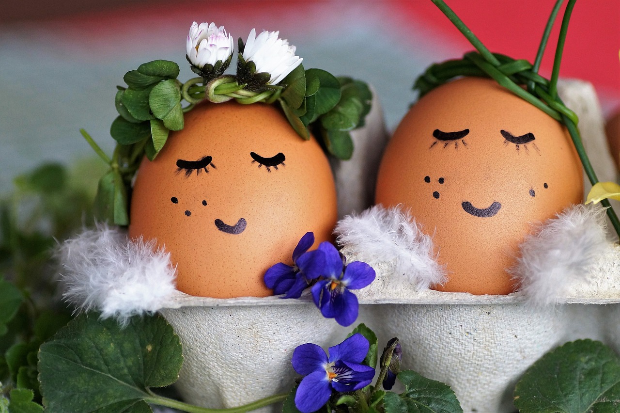 蛋寶寶最新版，探索與體驗的樂趣