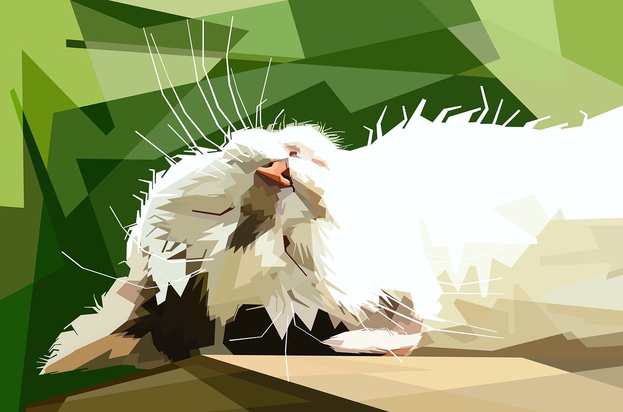 美邦引領(lǐng)時尚潮流新動態(tài),最新消息速遞