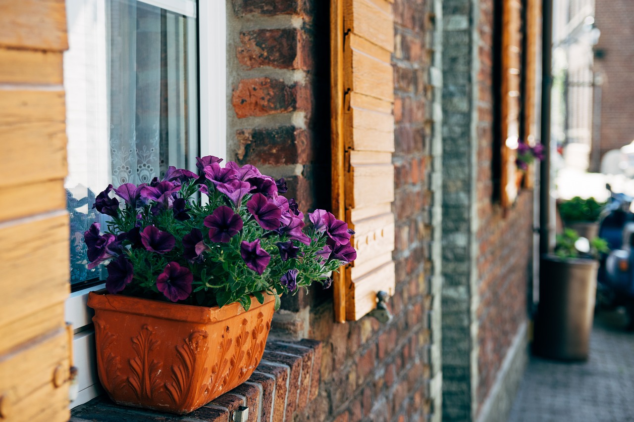 徐州房產(chǎn)市場(chǎng)最新動(dòng)態(tài),市場(chǎng)走勢(shì)、政策調(diào)控與未來展望