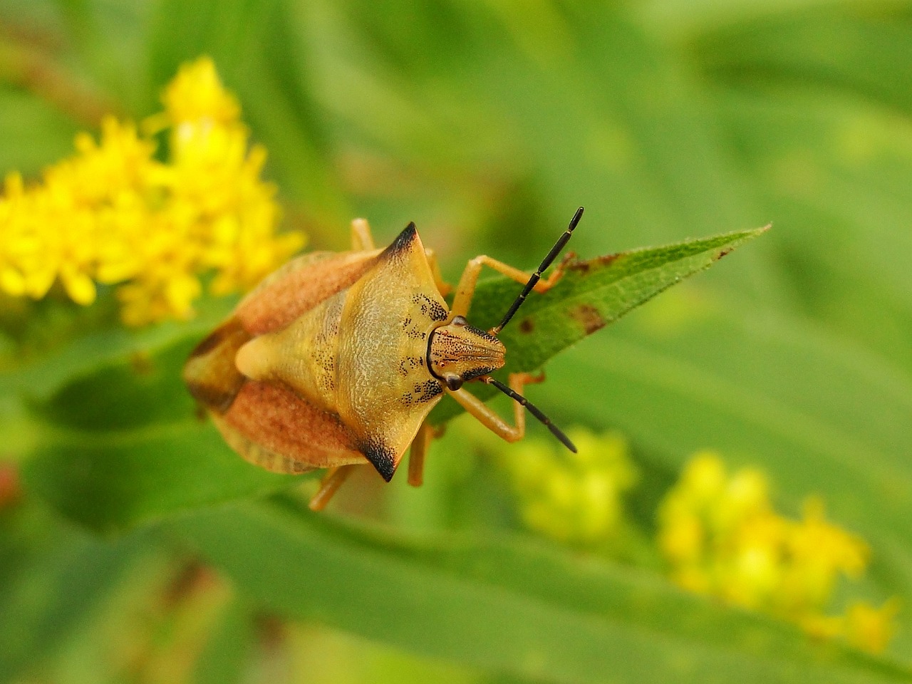 2024香港今期開獎號碼,社會責任法正式施行_桌面型GG936.2269