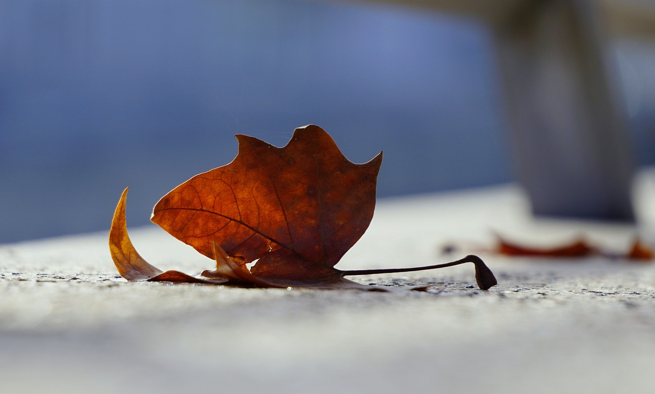 五條國內最新新聞概覽,時事動態(tài)速遞