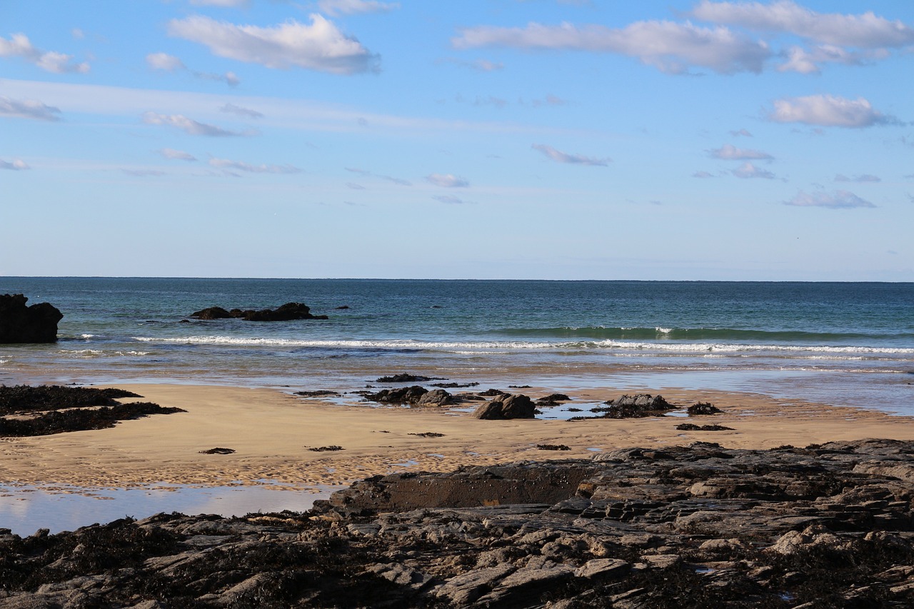 白龍湖天氣預報最新更新通知