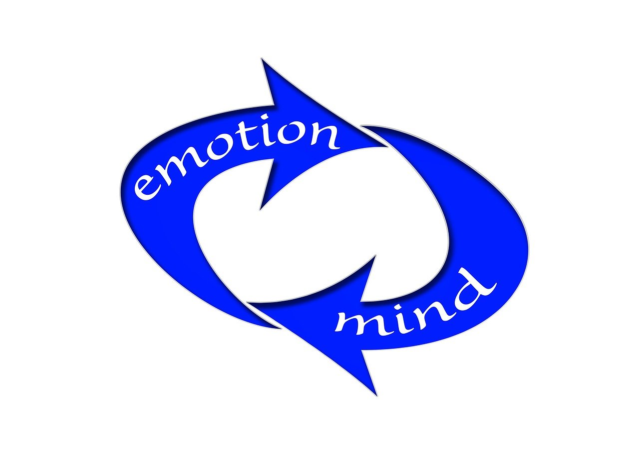 新澳2024大全正版免費(fèi),精細(xì)化方案決策_(dá)創(chuàng)新版65.16.5