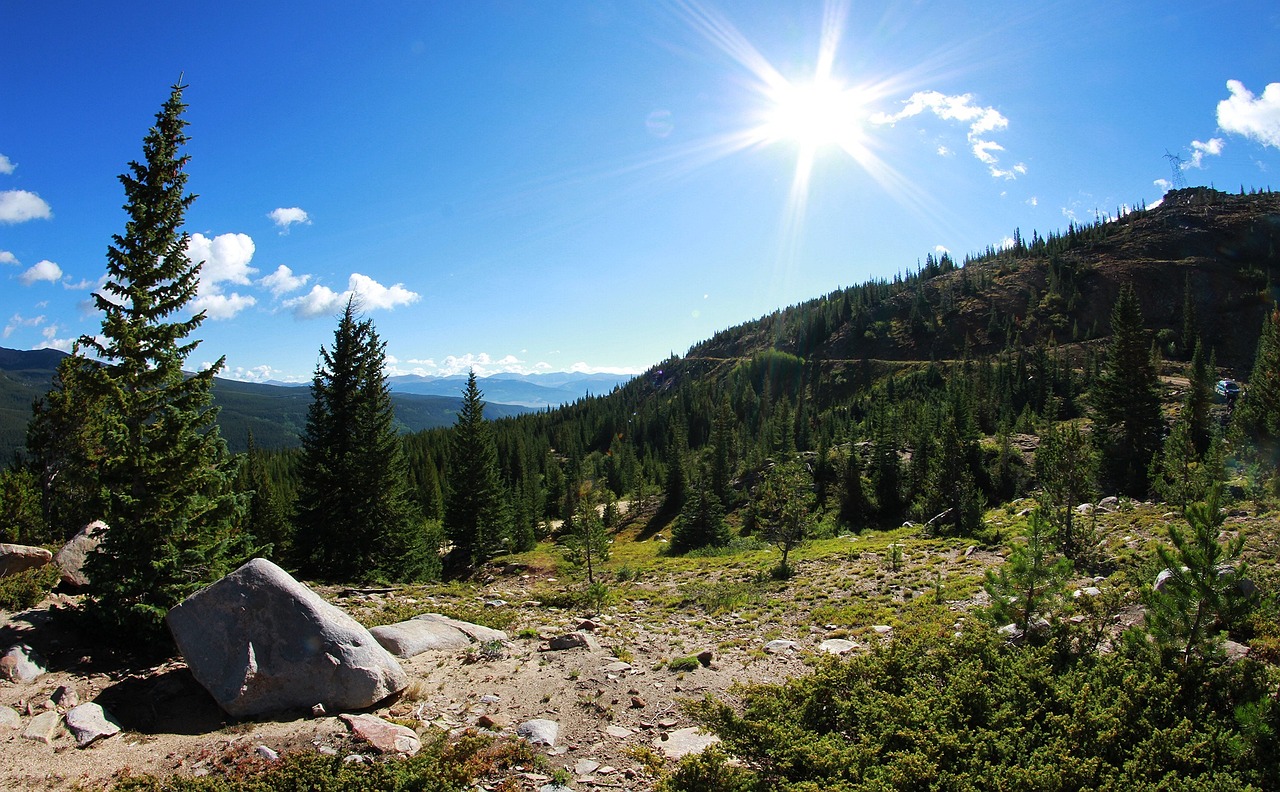 內(nèi)黃縣最新招聘信息及動(dòng)態(tài)解析