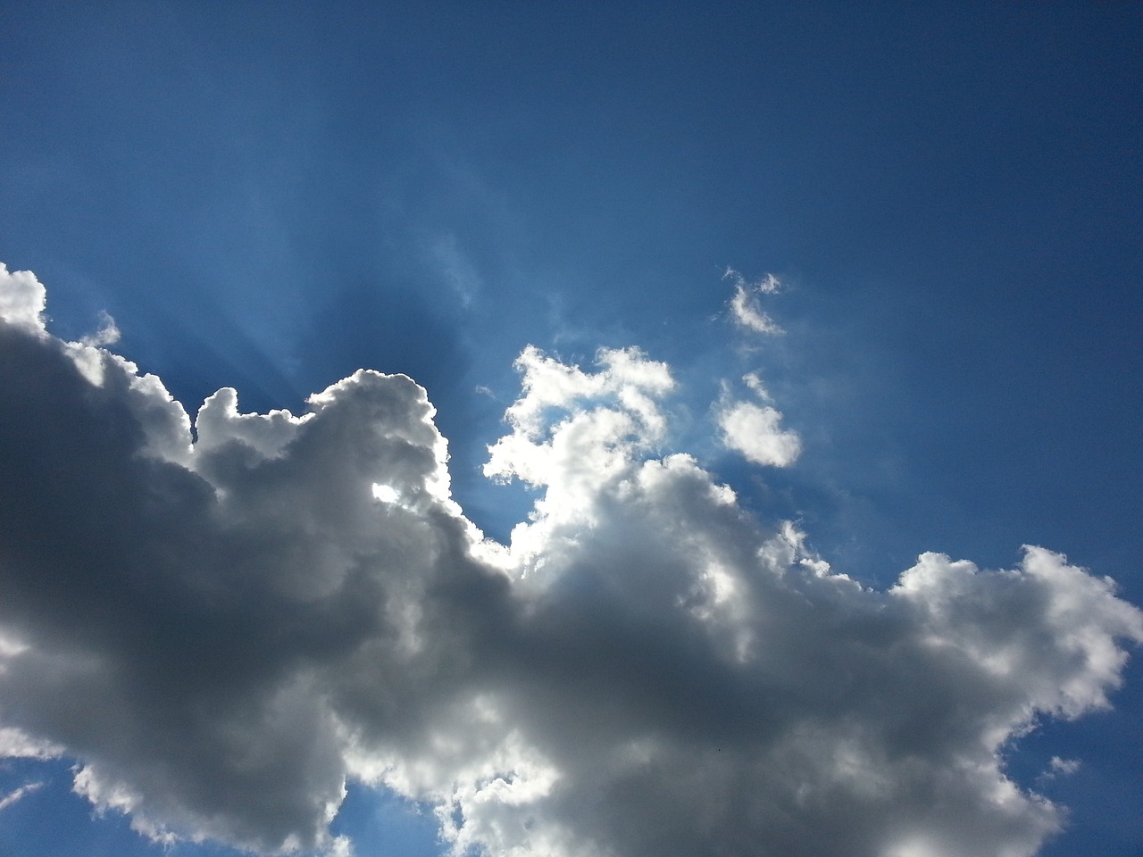 天成熙園最新動態與深度解析