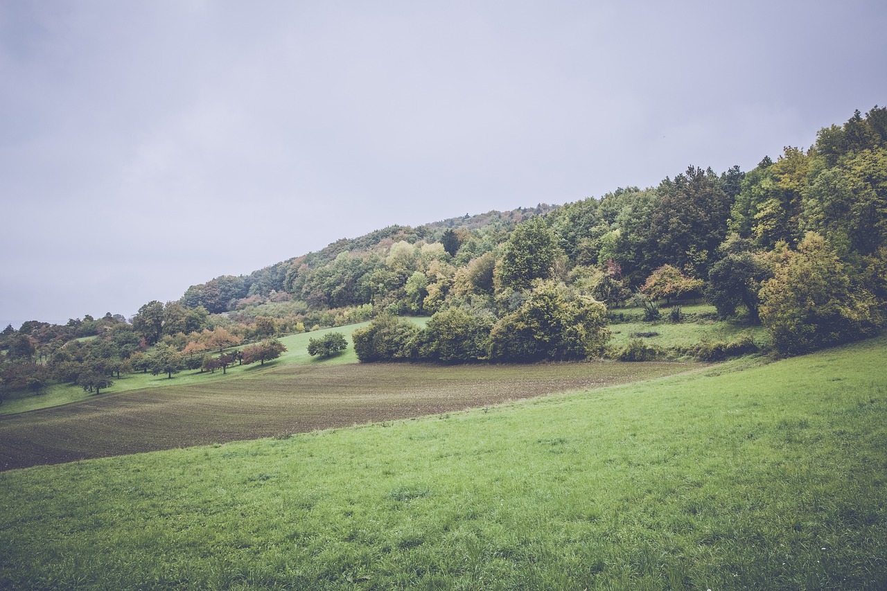 文在寅最新動態,政治舞臺的新動向與社會關注焦點熱議