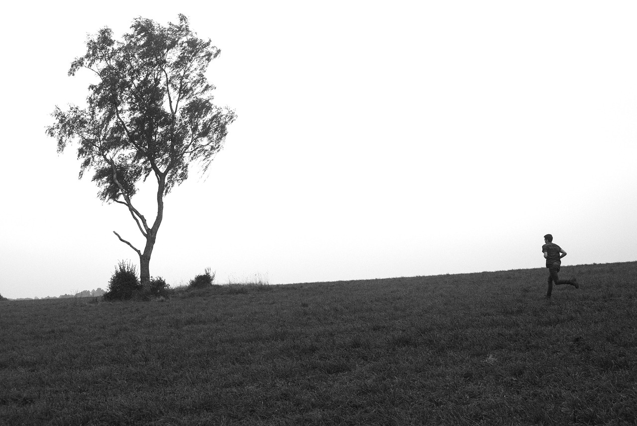 柯卡生最新消息揭秘,科技與健康領域的新動態(tài)探索