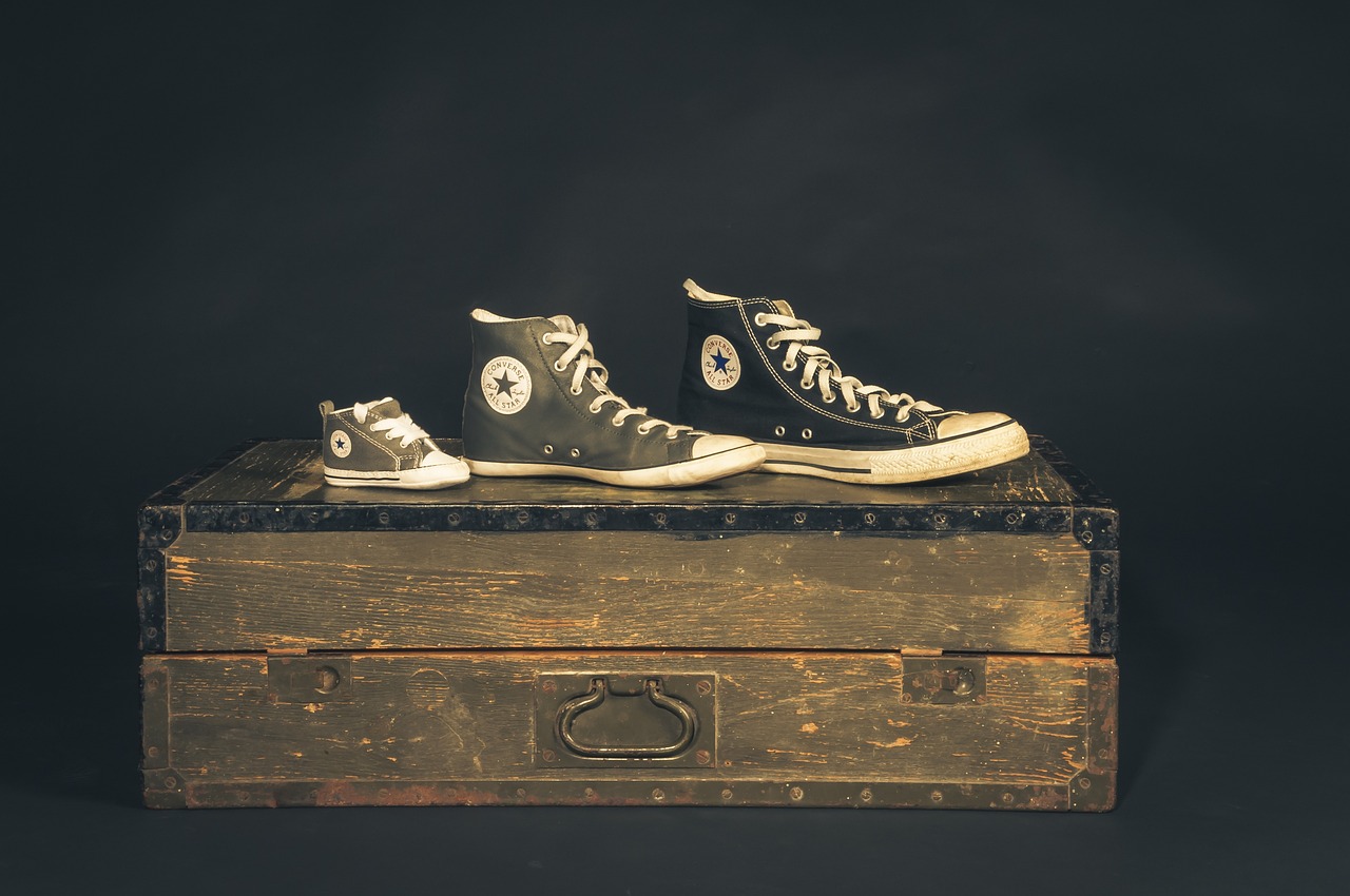 中茵股份最新動態(tài)全面解析