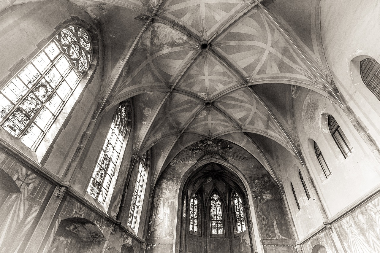 老虎直播二維碼最新動態，用戶體驗探討與最新進展