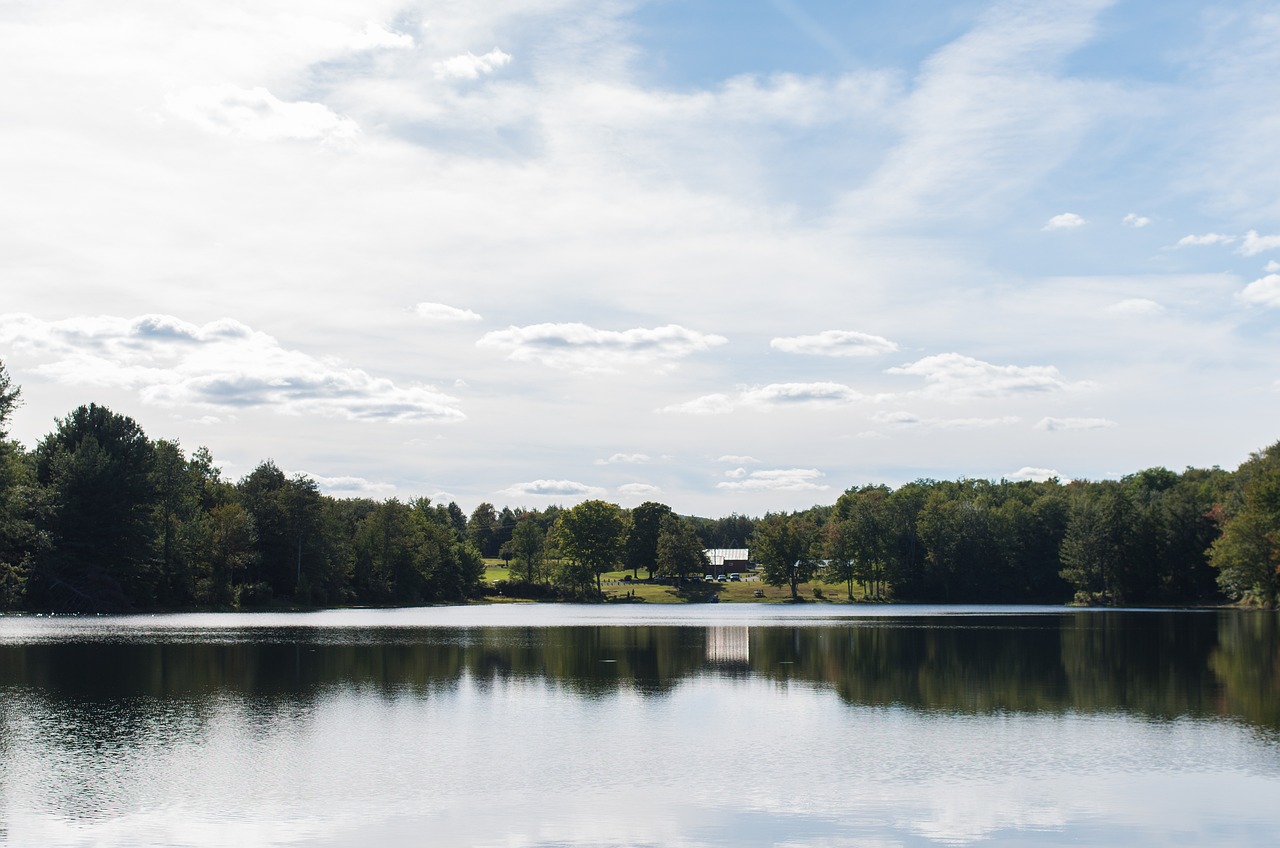 水西莊公園全新面貌揭秘,城市綠肺的最新消息