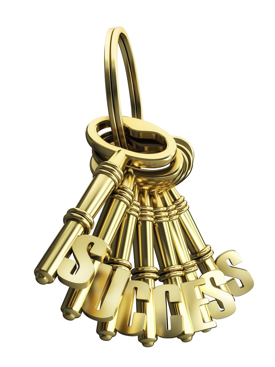 鳳崗米亞最新招聘信息,職場發展展望與招聘動態更新