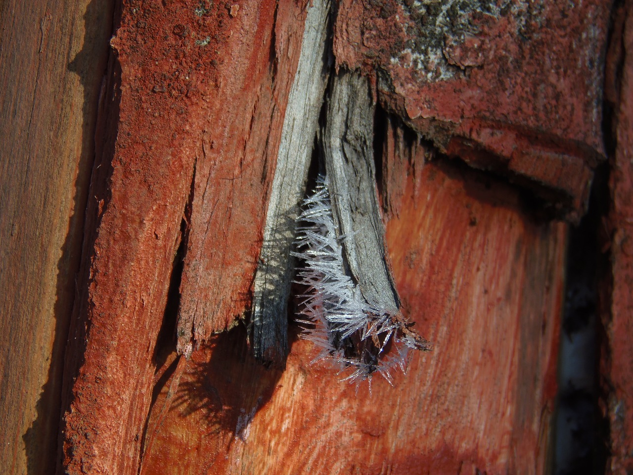 最新愛玩斗牛,一場刺激的游戲盛宴