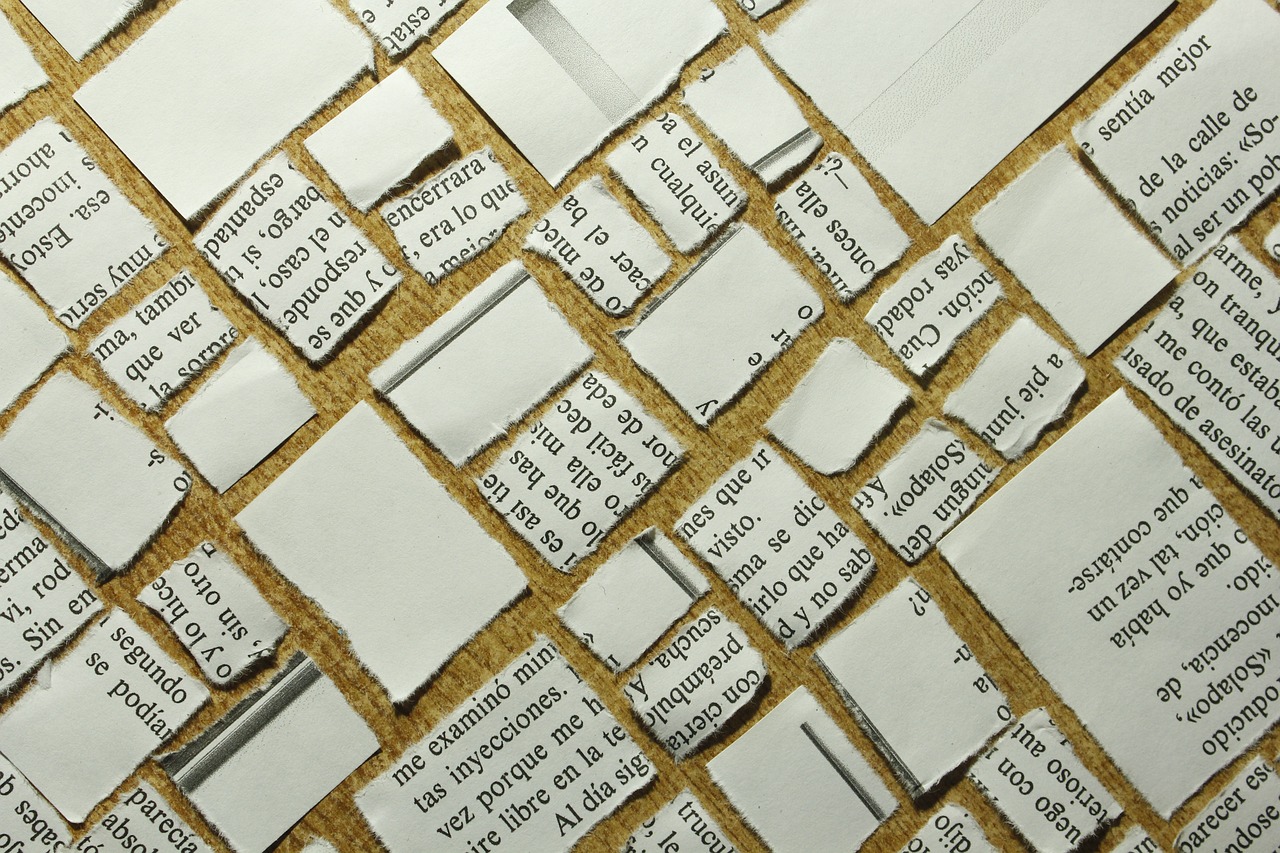 最新書目,探索知識的新領域