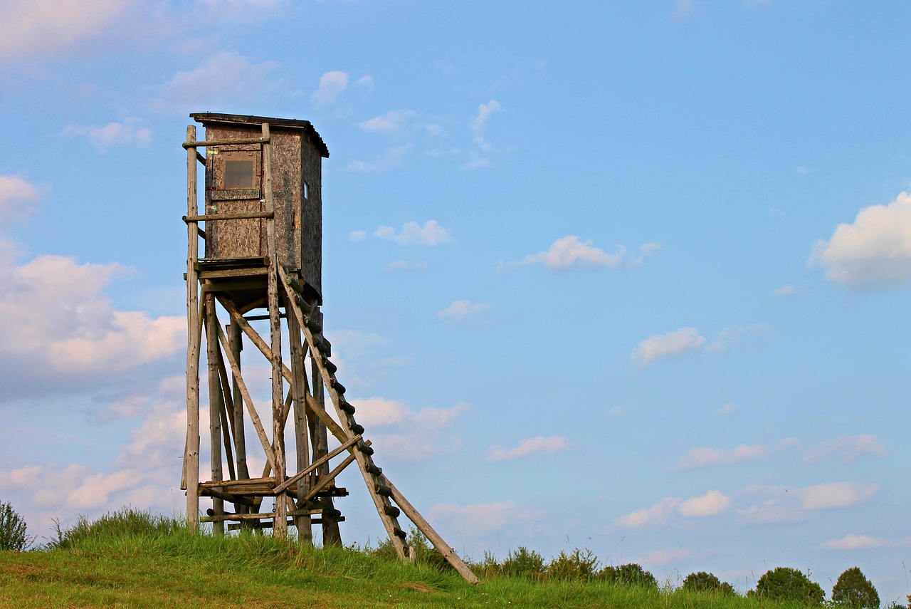 最新速攻獵,探索新時代的狩獵策略與技巧之道