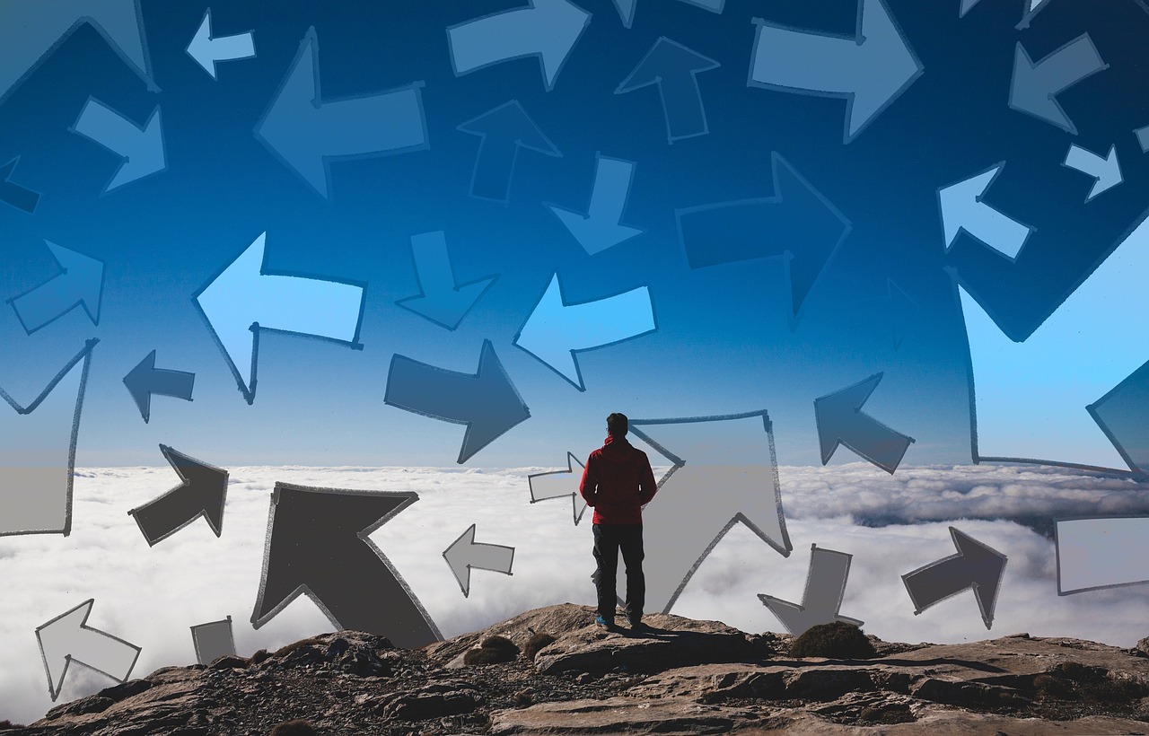 重樓最新行情概覽,市場走勢、產業前景及行情分析展望