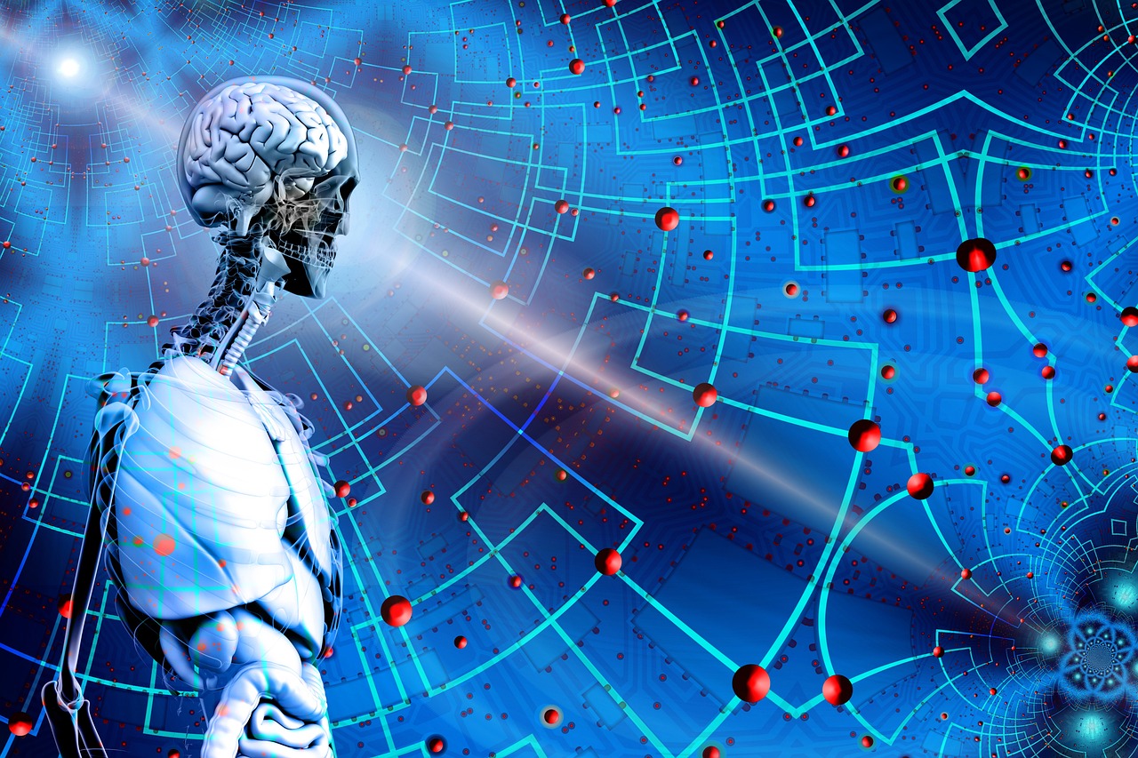 最新域名后綴,探索、應用與未來展望