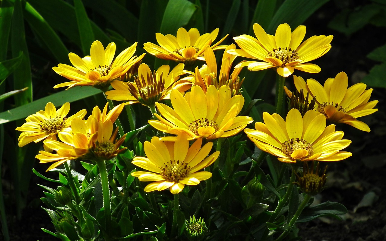 自然與藝術之美交融,最新花鳥卷展現生態藝術風采