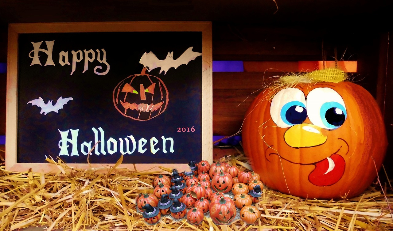 湖北雞蛋最新價格及動態分析概述