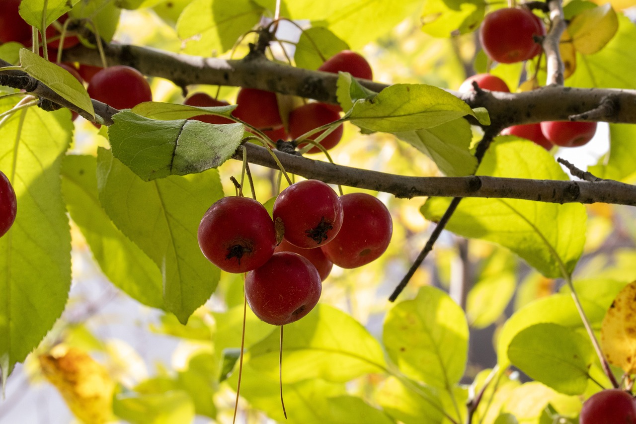 回眸最初 第26頁