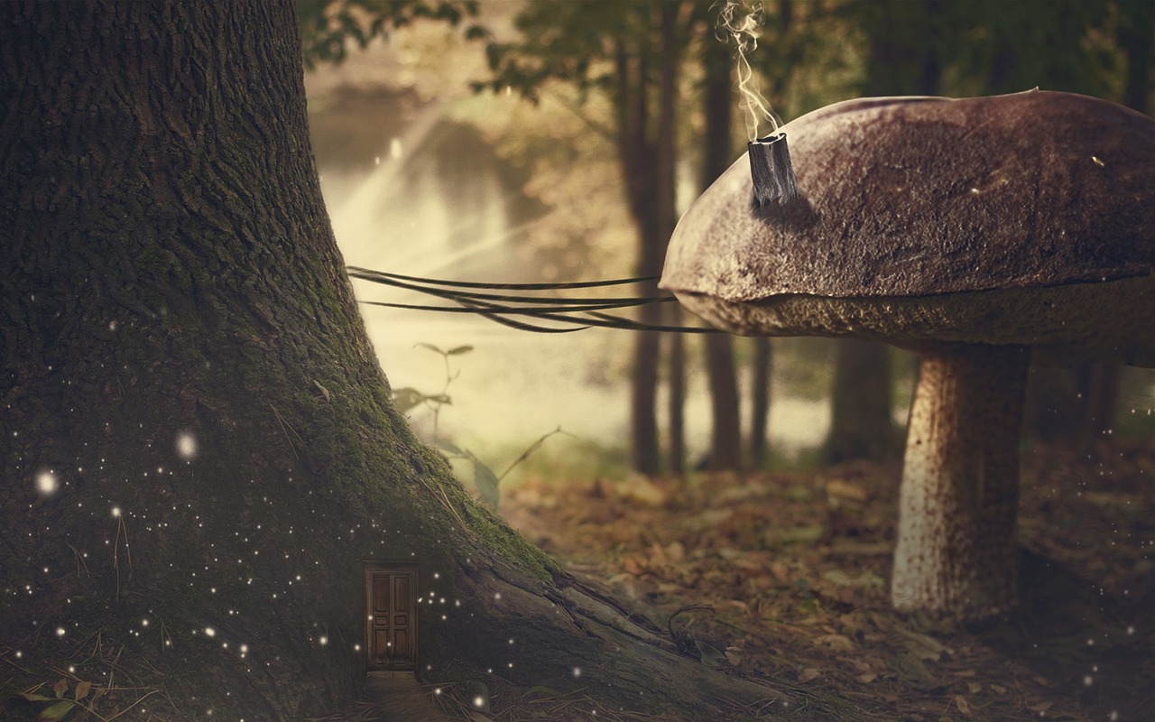 寧遠最新招聘信息及動態(tài)更新