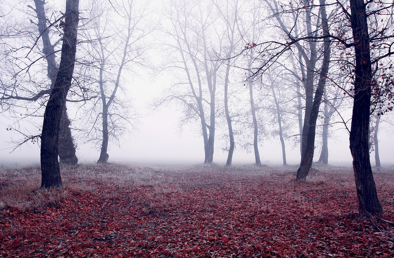 探索姜山未知魅力,冷門景點的神秘之旅