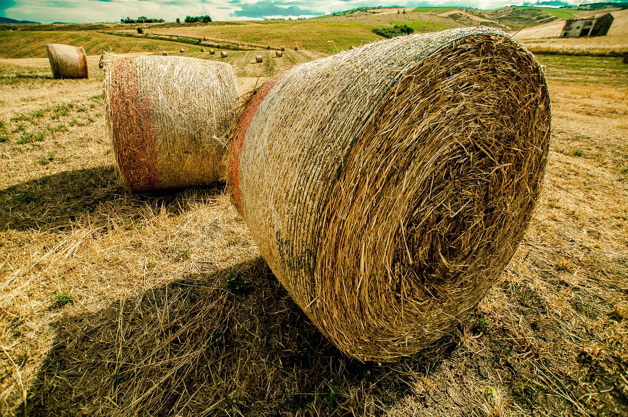 TVB最新動態,引領行業變革,持續創新,刷新觀眾期待的新高度