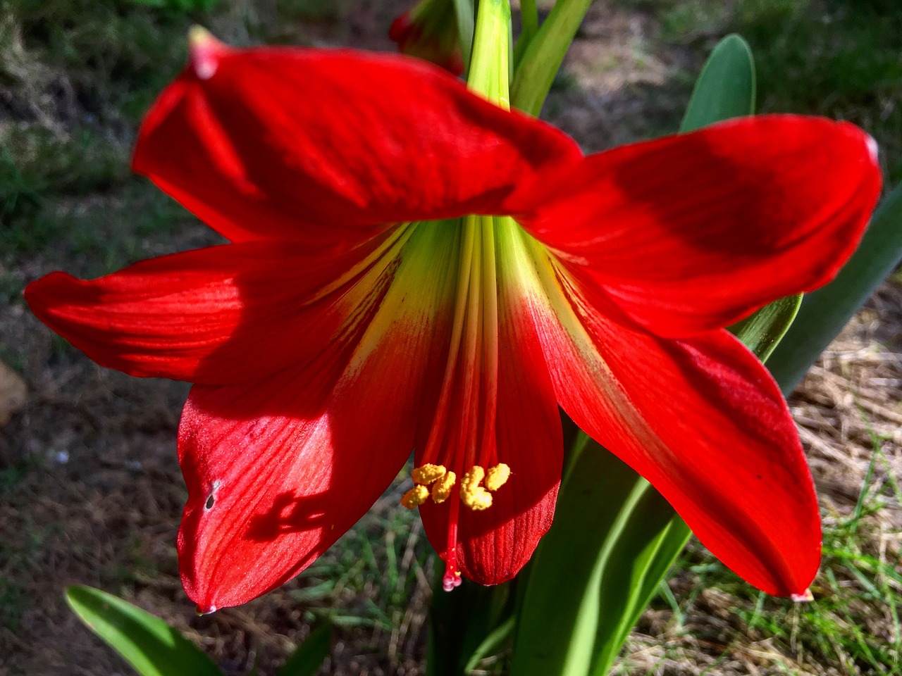 奔邁手機(jī)最新動(dòng)態(tài),科技潮流新里程碑,引領(lǐng)未來(lái)發(fā)展方向