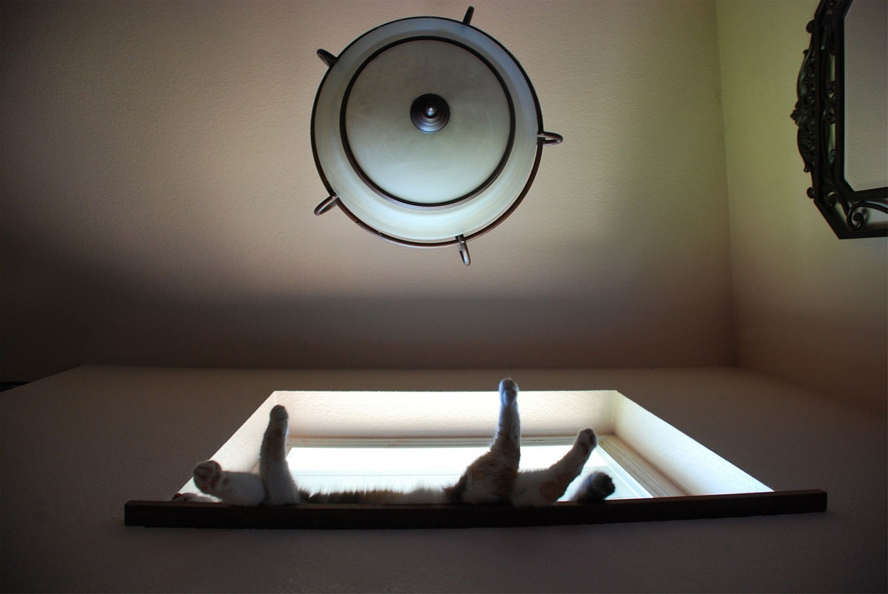 濰坊軒逸最新報(bào)價(jià)及動(dòng)態(tài),選擇最佳購(gòu)車時(shí)機(jī)全攻略