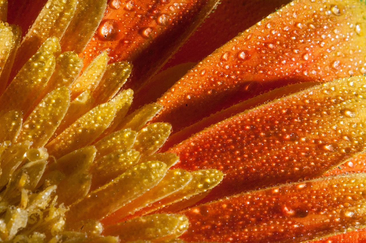 西安梁家灘最新動態,城市發展的璀璨明珠閃耀之處