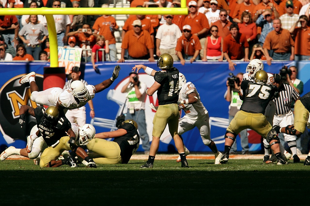 南馬最新招聘動態，崗位更新與影響分析