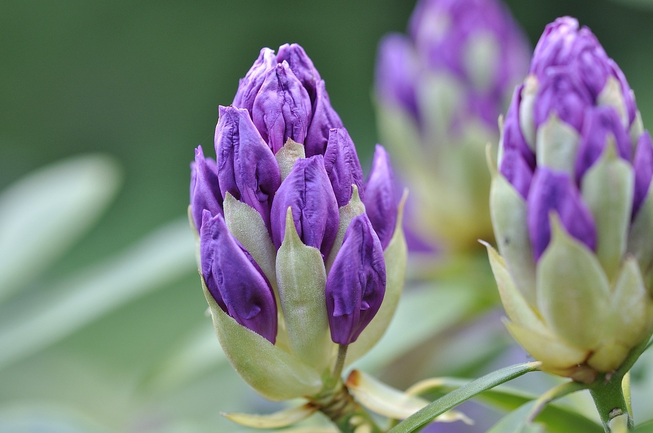 探索個性風(fēng)采，最新流行頭像潮流概覽 2016個性頭像精選