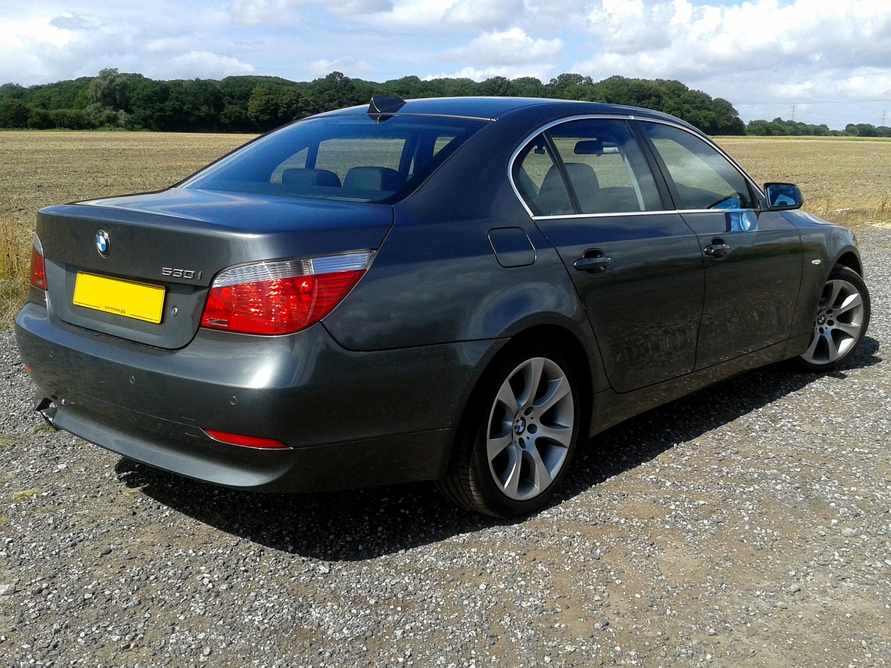 王靖最新動態,展現卓越領導力與潛力的持續閃耀