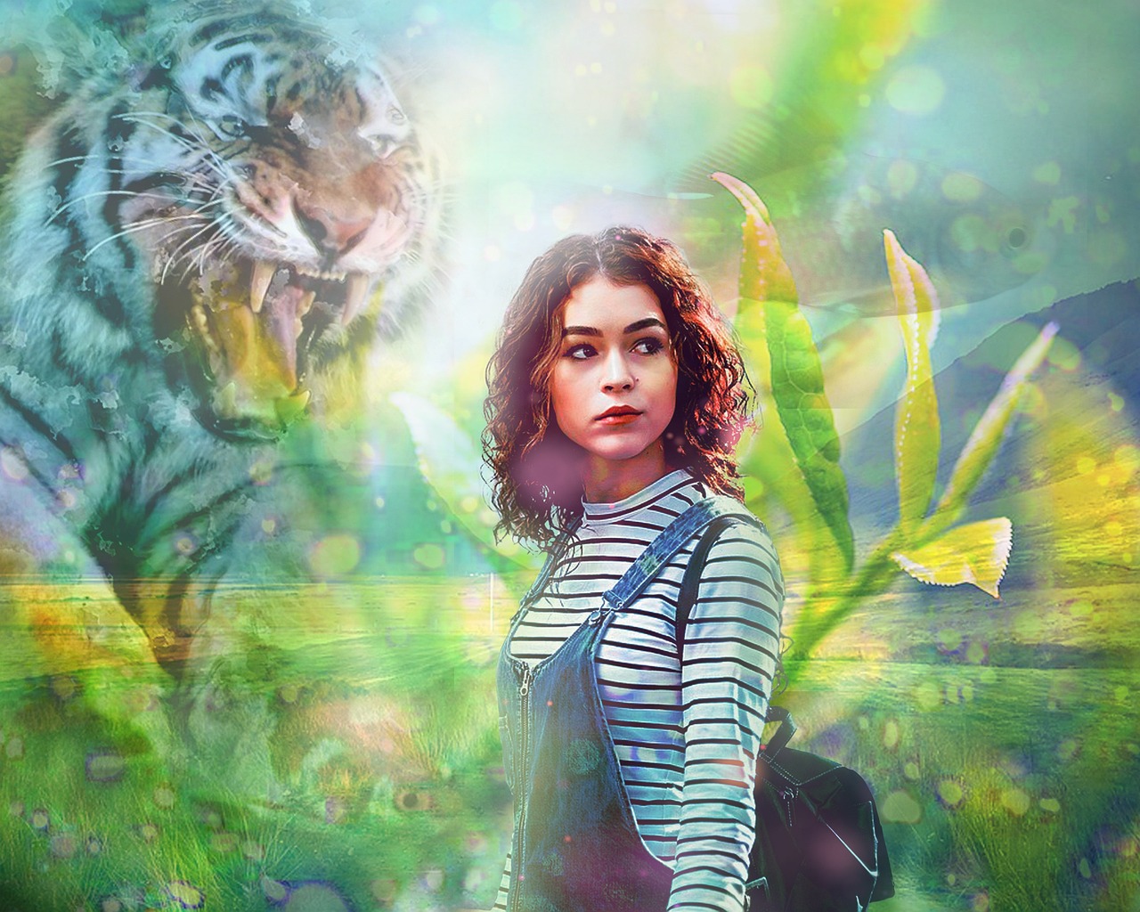 夢幻花園官方最新版,探索與體驗的樂趣天堂