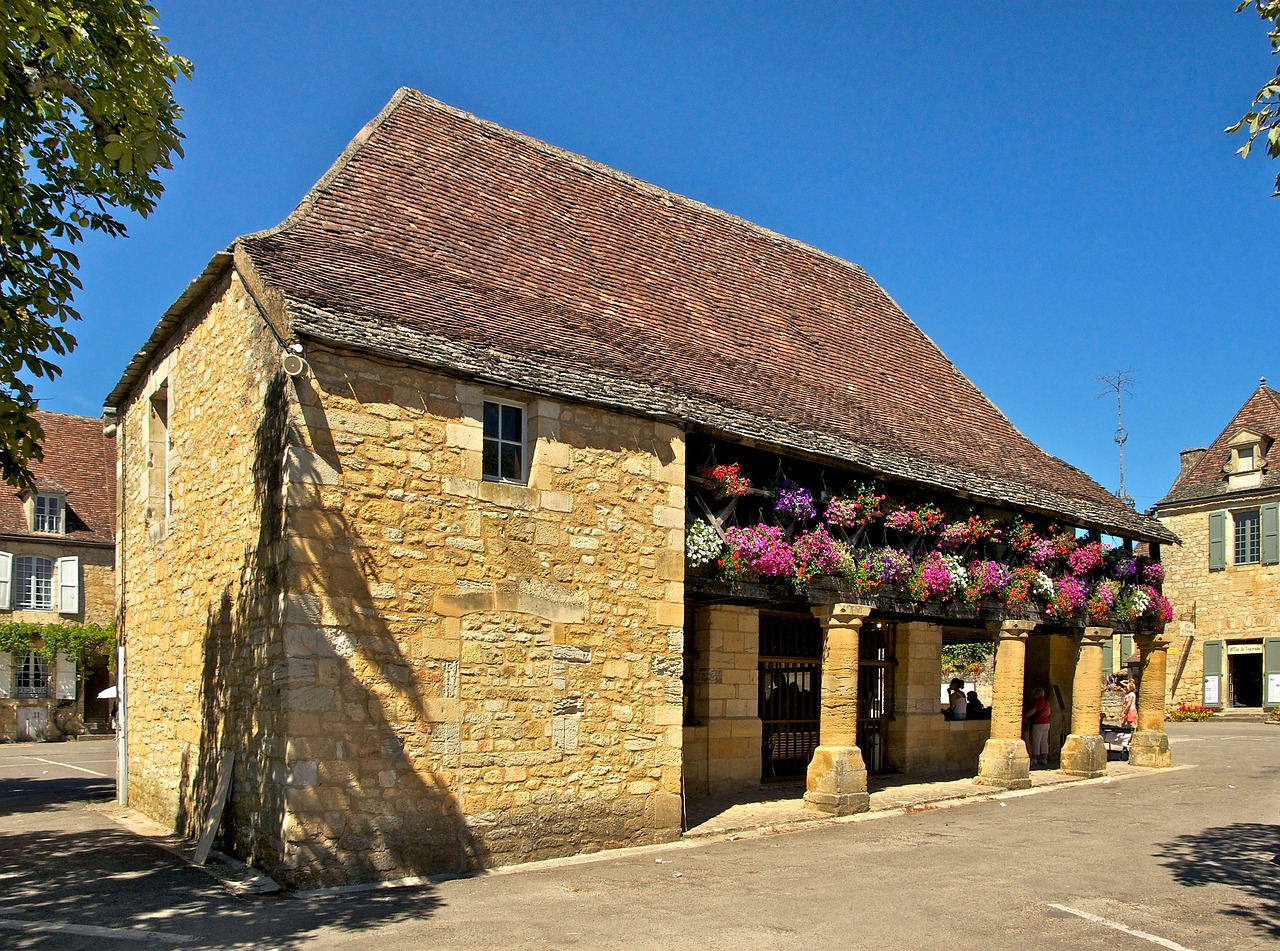 順風清潔能源引領清潔能源革命的新動態揭秘