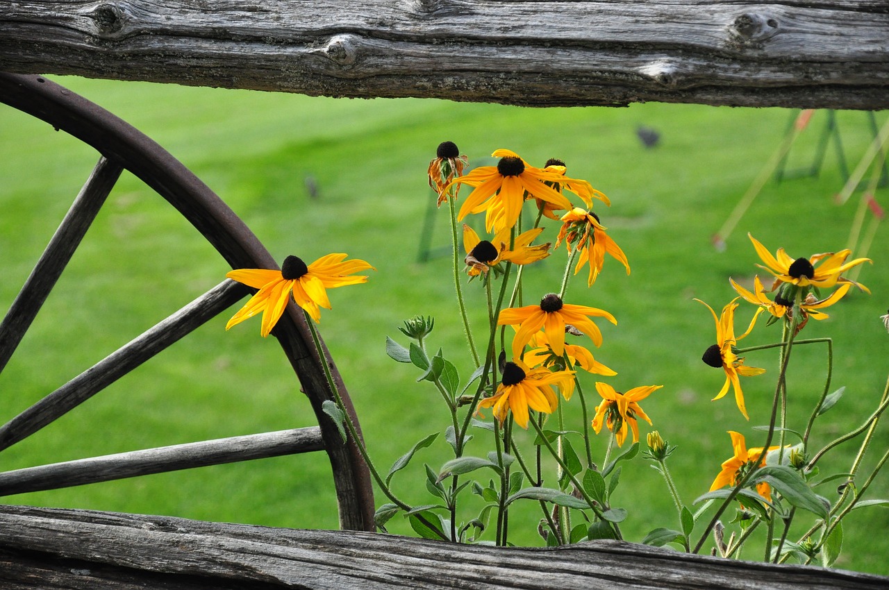 北五村改造最新動(dòng)態(tài)，重塑社區(qū)，打造宜居環(huán)境