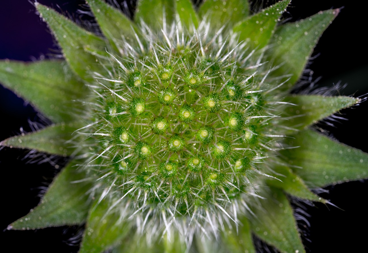 肥西撤縣設區邁入新征程,最新消息與縣域發展動態