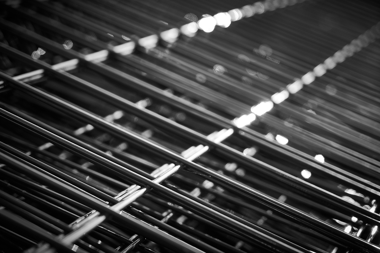 吉林市玉米價格最新行情及分析概述